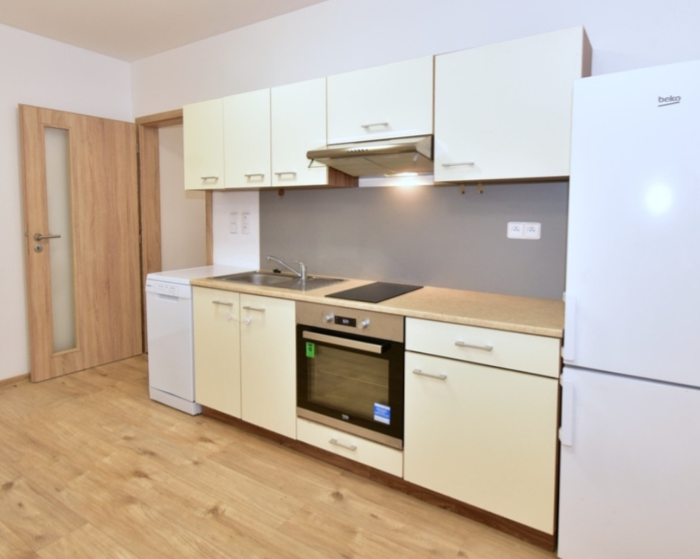 PRONÁJEM BYTU 1KK 35 M2 JIRÁSKOVA MILEVSKO